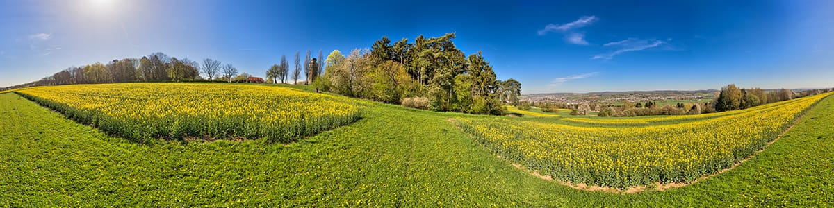 In der Nähe des Bismarckturms in Wetzlar