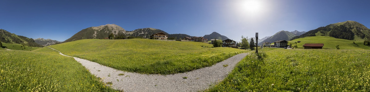 Wiese oberhalb von Berwang